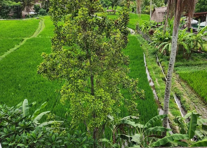 Motama Villa *